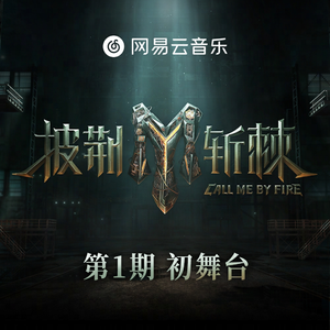 实践 拍击 视频
