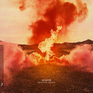 实践 拍击 视频
