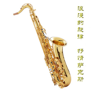 实践 拍击 视频
