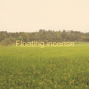 实践 拍击 视频
